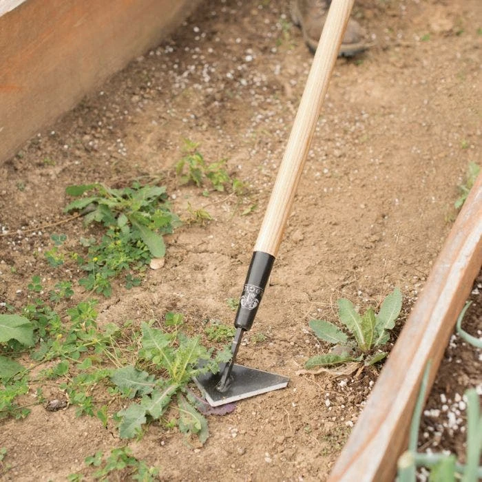 PROHOE 6-Inch Scuffle Hoe - Image 3
