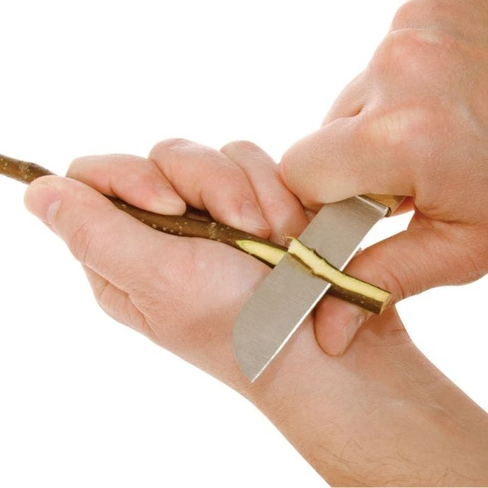 Dexter Jumbo Grafting Knife - Image 3