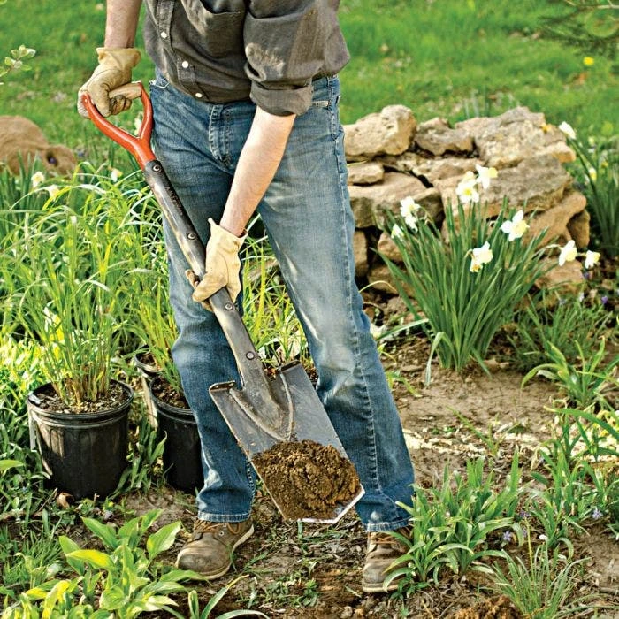 Leonard Full Strap Diamond Point Spades - Image 2