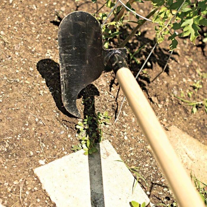 Leonard Versahoe With Ash Handle - Image 7