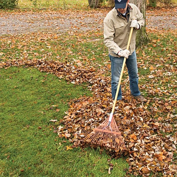 Steel 24 Tine Spring Rake By A.M. Leonard, Lifetime Warranty - Image 3