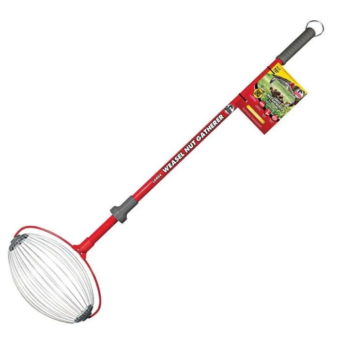 Weasel Nut Gatherer - Image 4