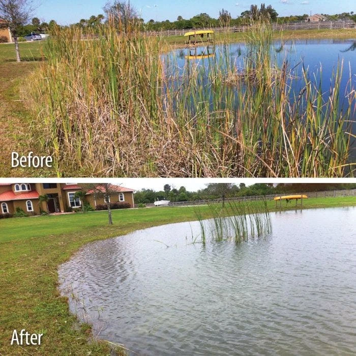 Weed Razer - The Original Lake Weed Cutter - Image 3